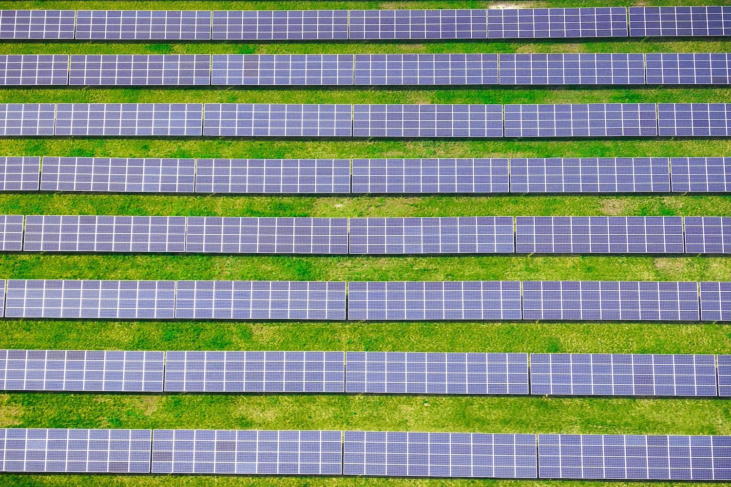 A birds eye view of lines of solar panels in a grass field — community solar