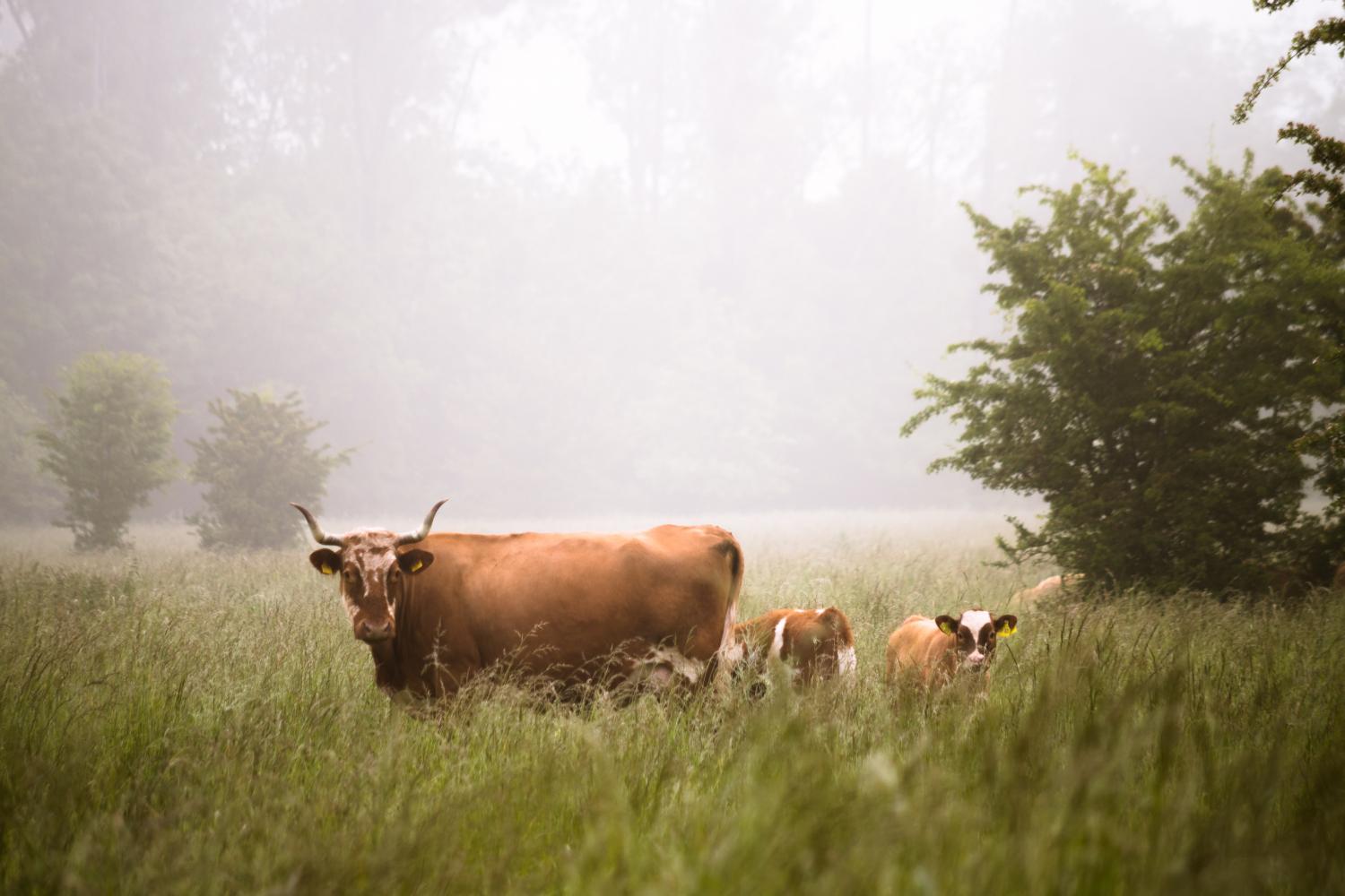 Agriculture has increasingly turned to technology in the name of efficiency over the past several years - and now GPS is poised to help out in a new way if this startup can succeed.