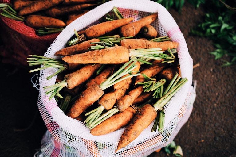 farm-carrots-in-sack.jpg