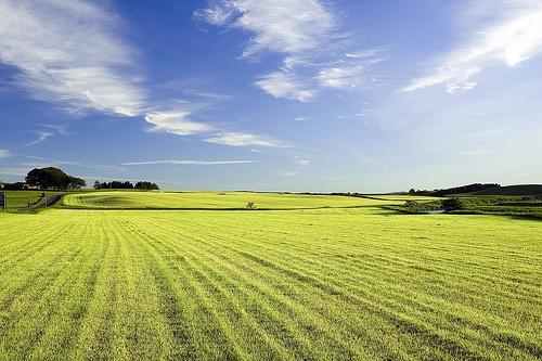 farmland1.jpg