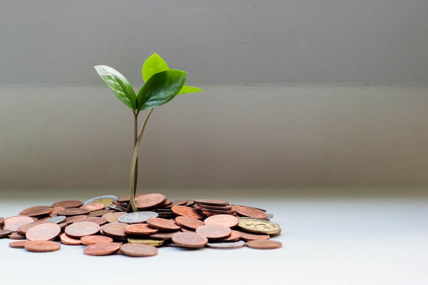green capitalism