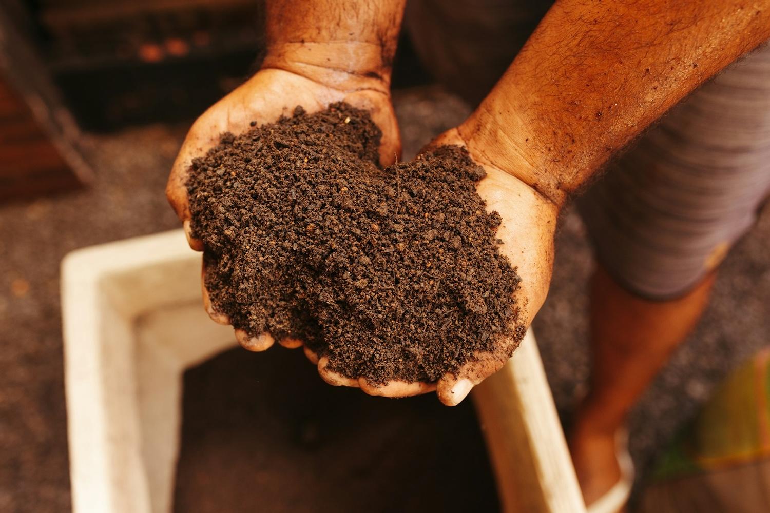 hands in soil — sustainable agriculture