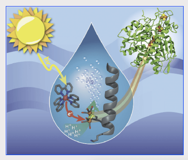 hydrogen-circular-economy.png