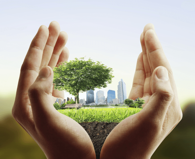 iStock_000040711878_Large.png