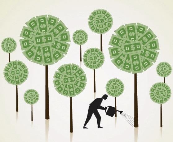 money-tree-growing-startup.jpeg