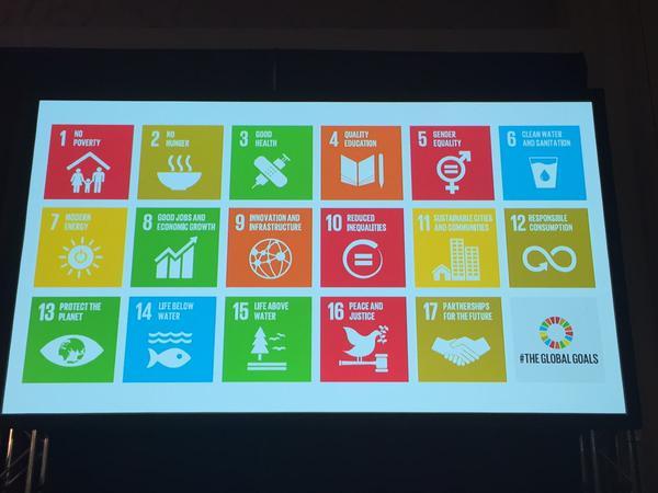 more-global-goals.jpg