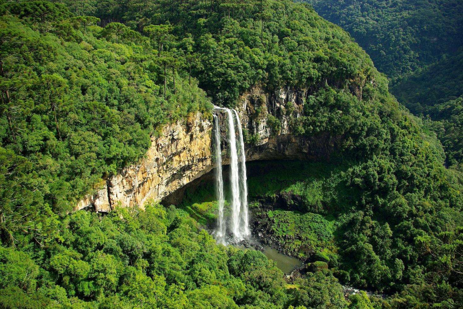 The Caracol Falls in Rio Grande do Sul, Brazil, surrounded by forest — nature-related disclosures
