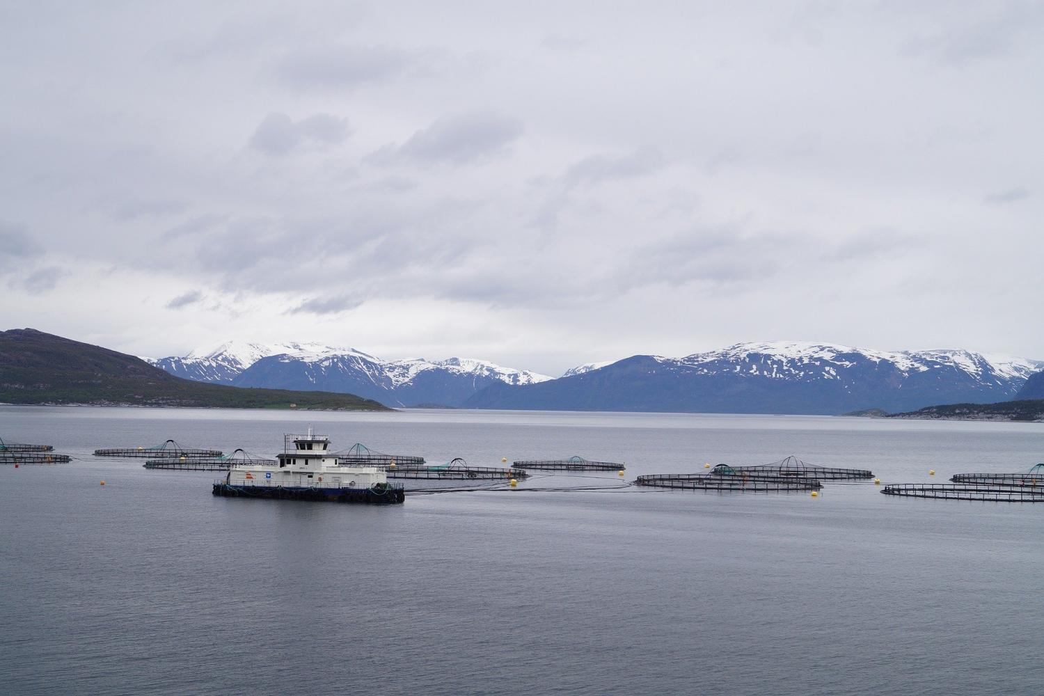 norway-1183114_1920.jpg