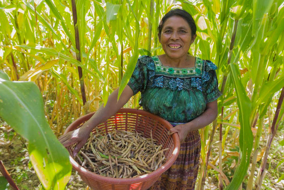 PepsiCo not only seeks to help farmers across its global supply chain become more sustainable, but the food and beverage giant is also striving to ensure women farmers find increased success in their work as well. 