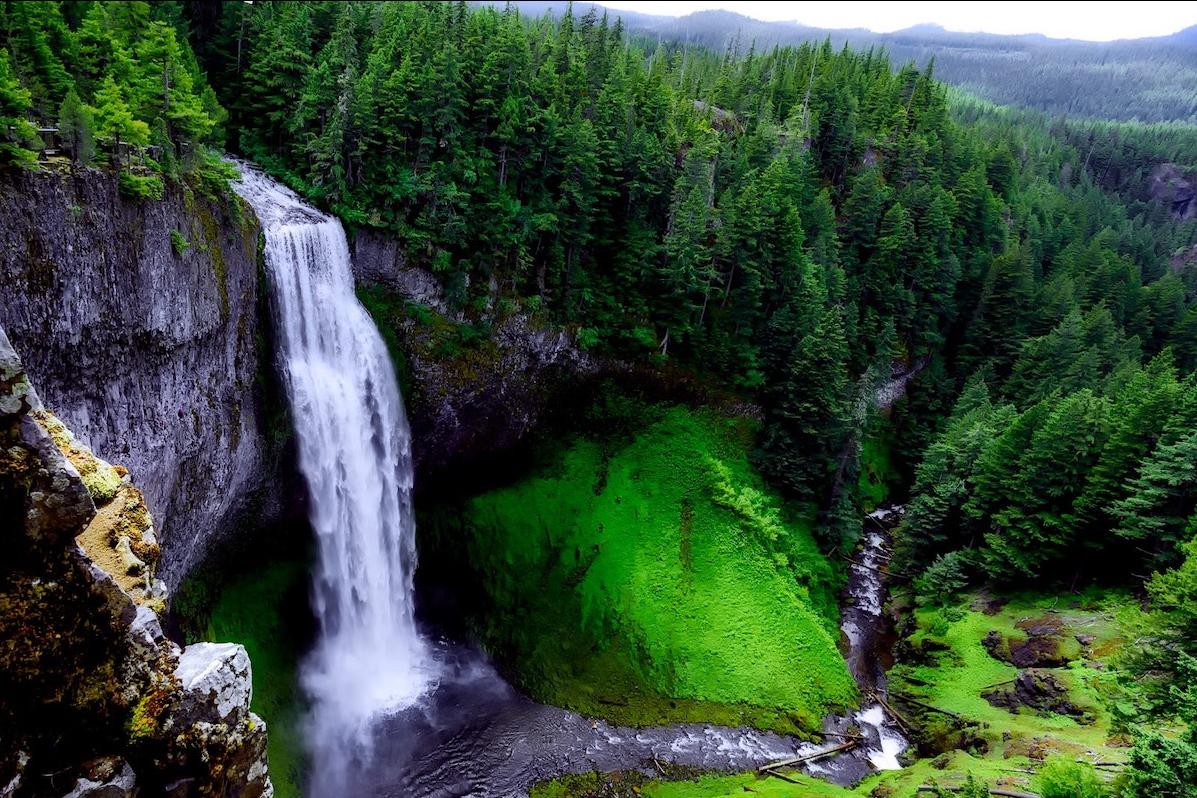 A waterfall in a forest. 