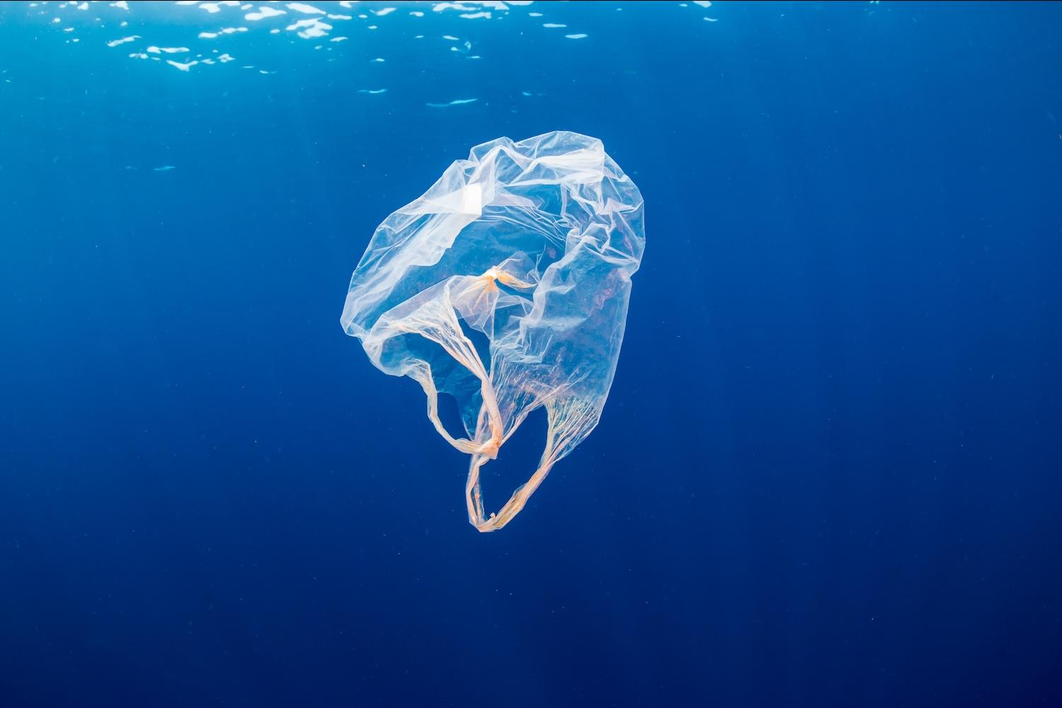 plastic bag floating in the ocean — new study links plastic bag bans to less plastic pollution on beaches