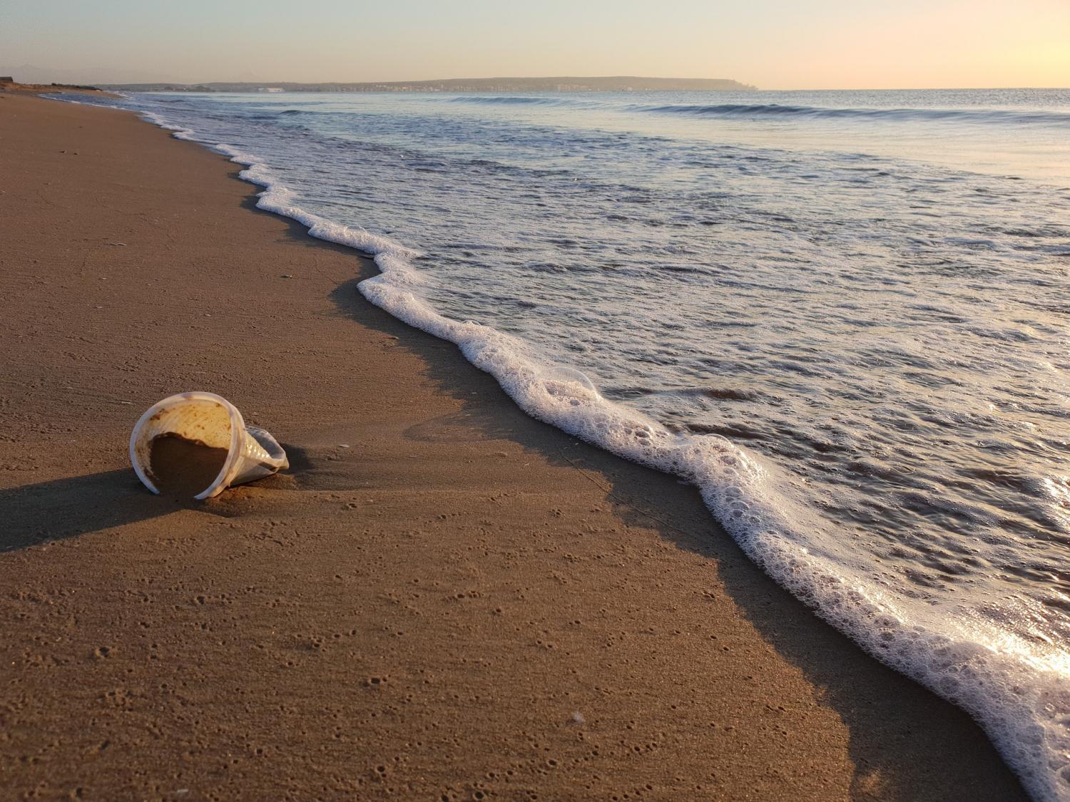 Plastic-Free Oceans