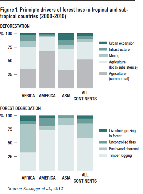 principal-drivers-of-forest-loss-ODI.png