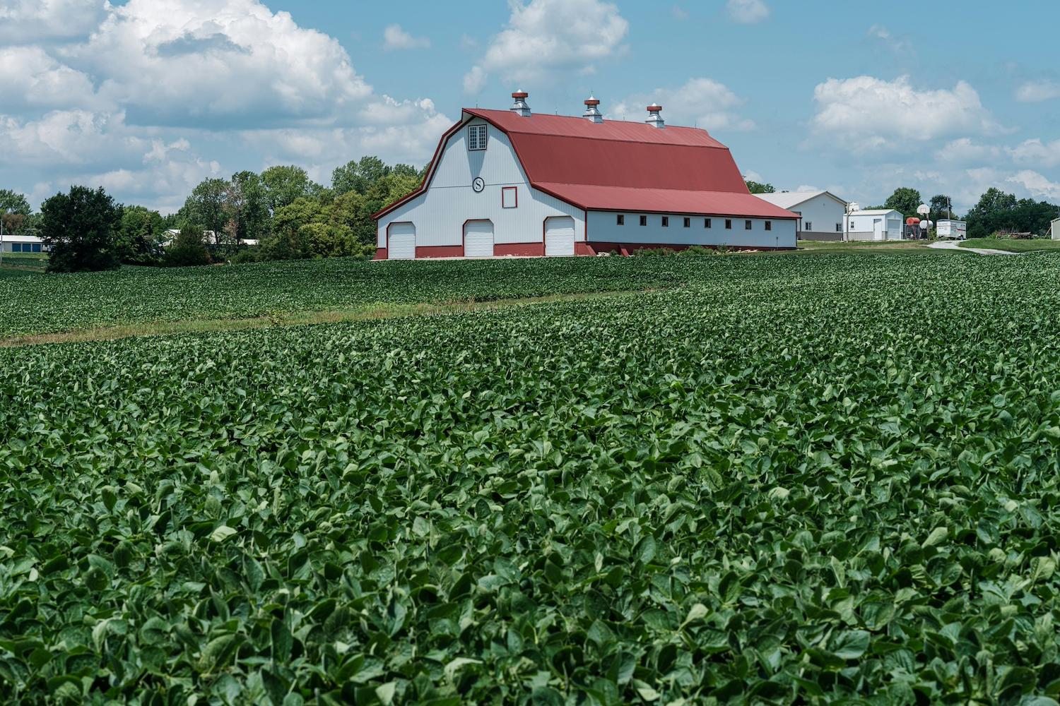 A red and white barn surrounded by a planted field — regenerative agriculture