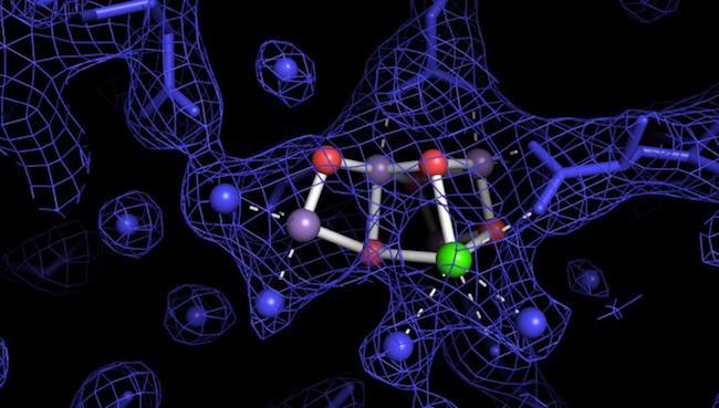 renewable-hydrogen-photosynthesis.jpeg