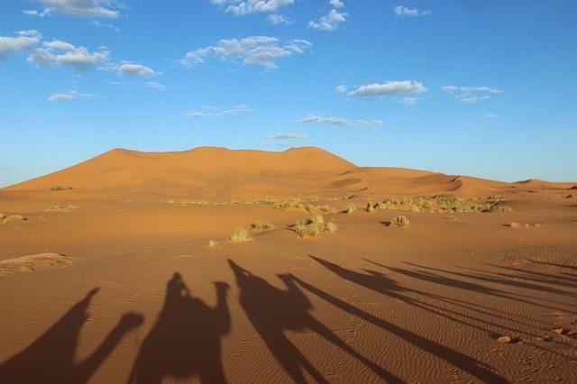 sahara-188683_640.jpg