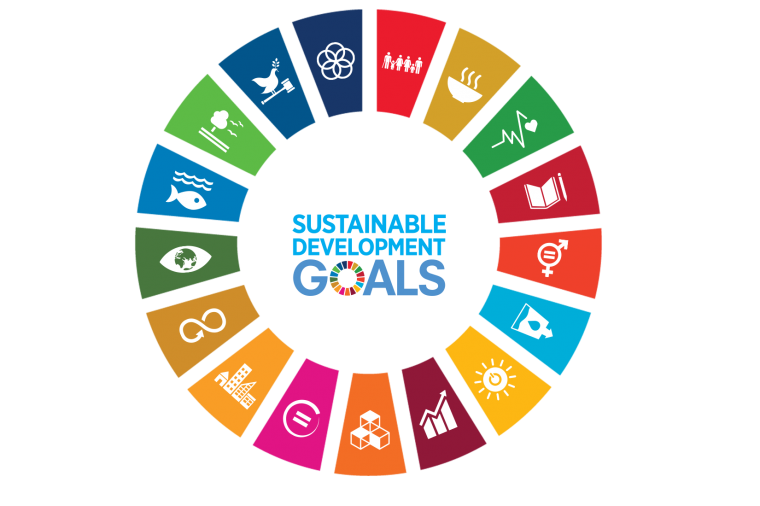 sustainable development goals