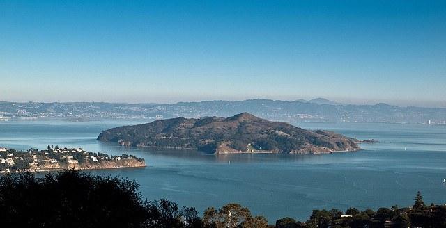 sea-level-rise-marin-owl.jpg