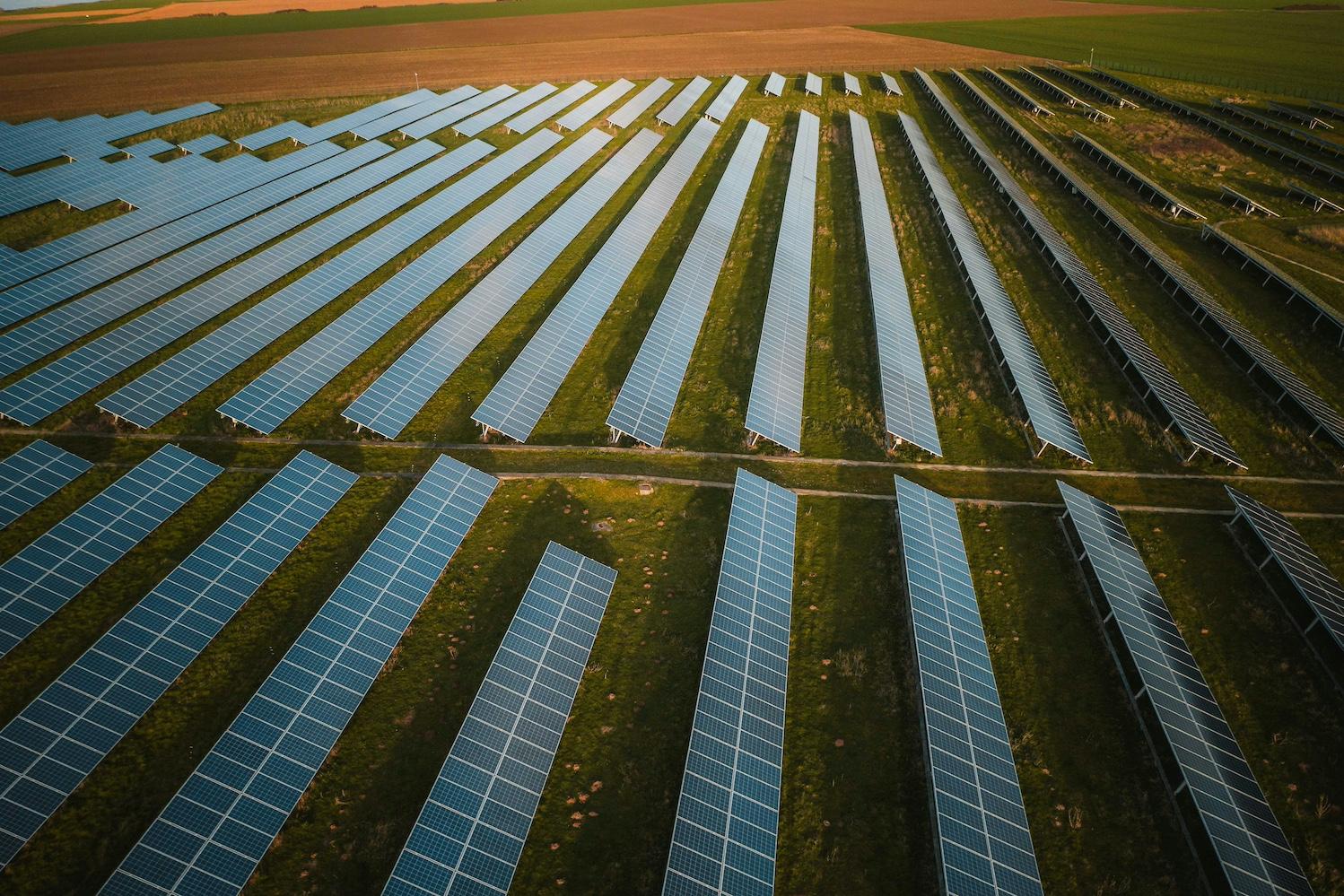 A field of solar panels. 