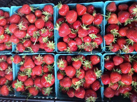 strawberries.jpg