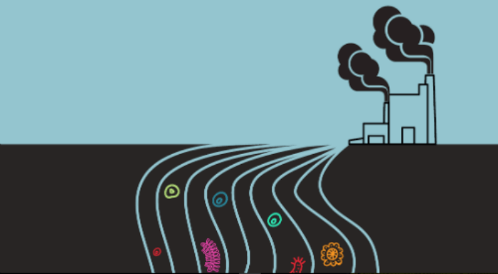 superbugs-in-the-supply-chain-amr.png