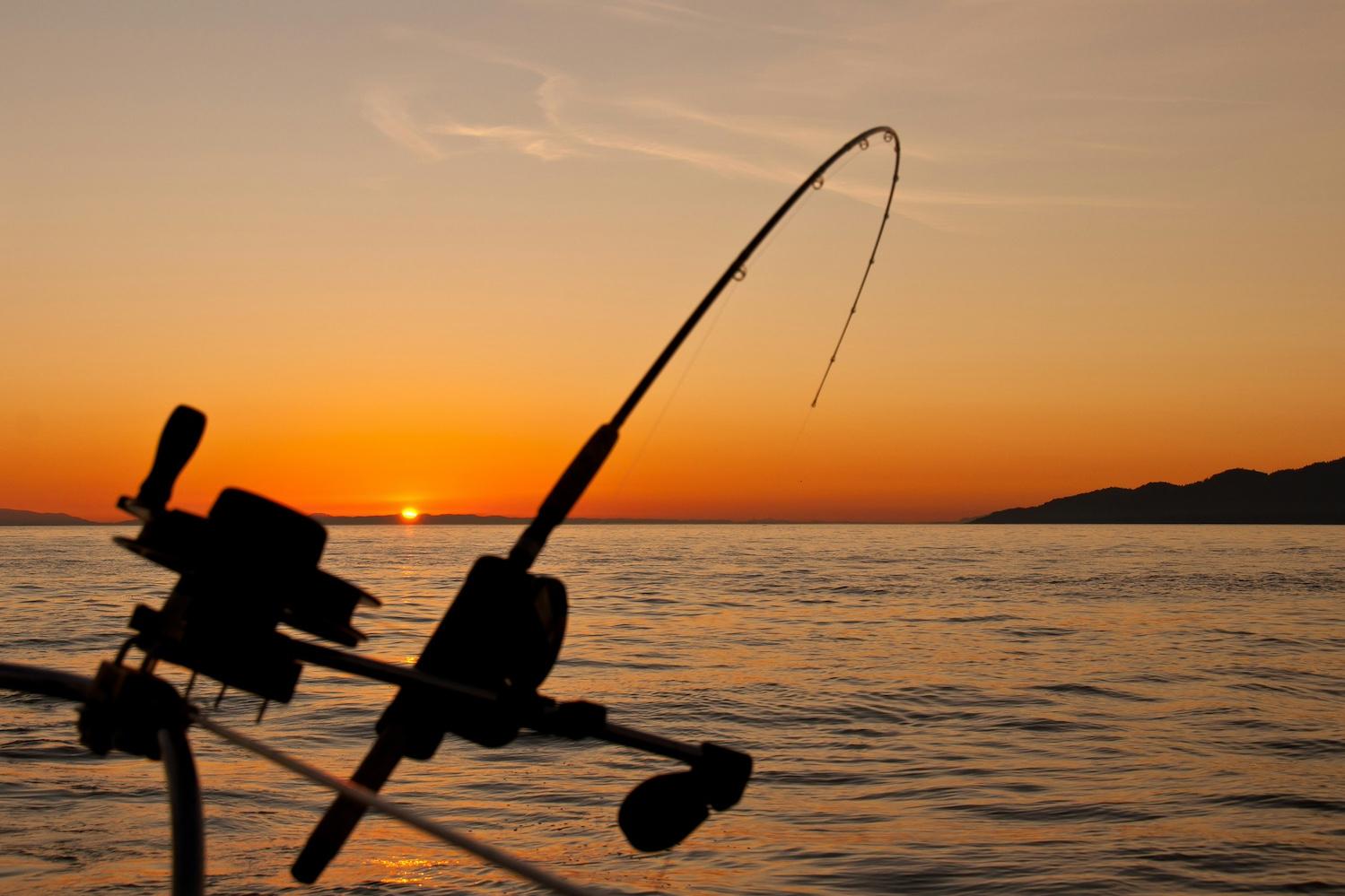 A fishing pole cast into the water at sunset — sustainable fishing