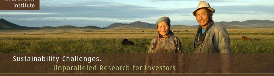 sustainable-investments-institute-frontcover20.jpg