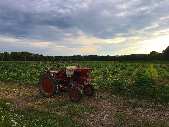 tractor-2604205_640.jpg