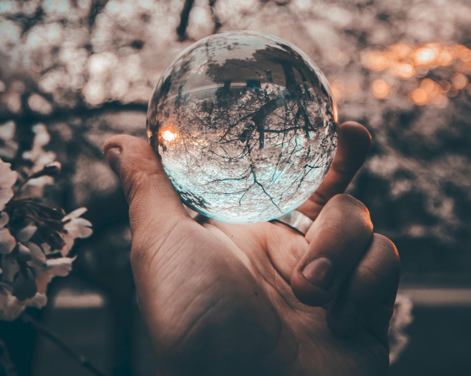 transparency and consumer trust