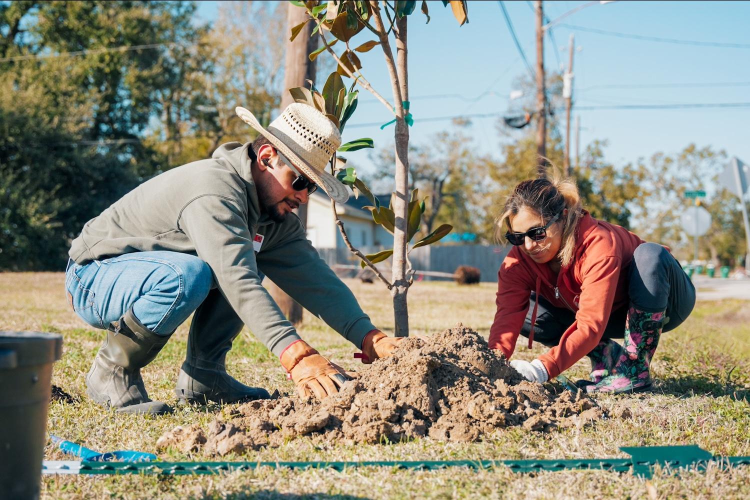 Two volunteers plant a young tree in Houston — tree equity