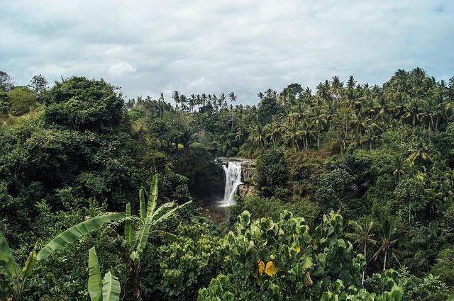 waterfall-1031597_640.jpg
