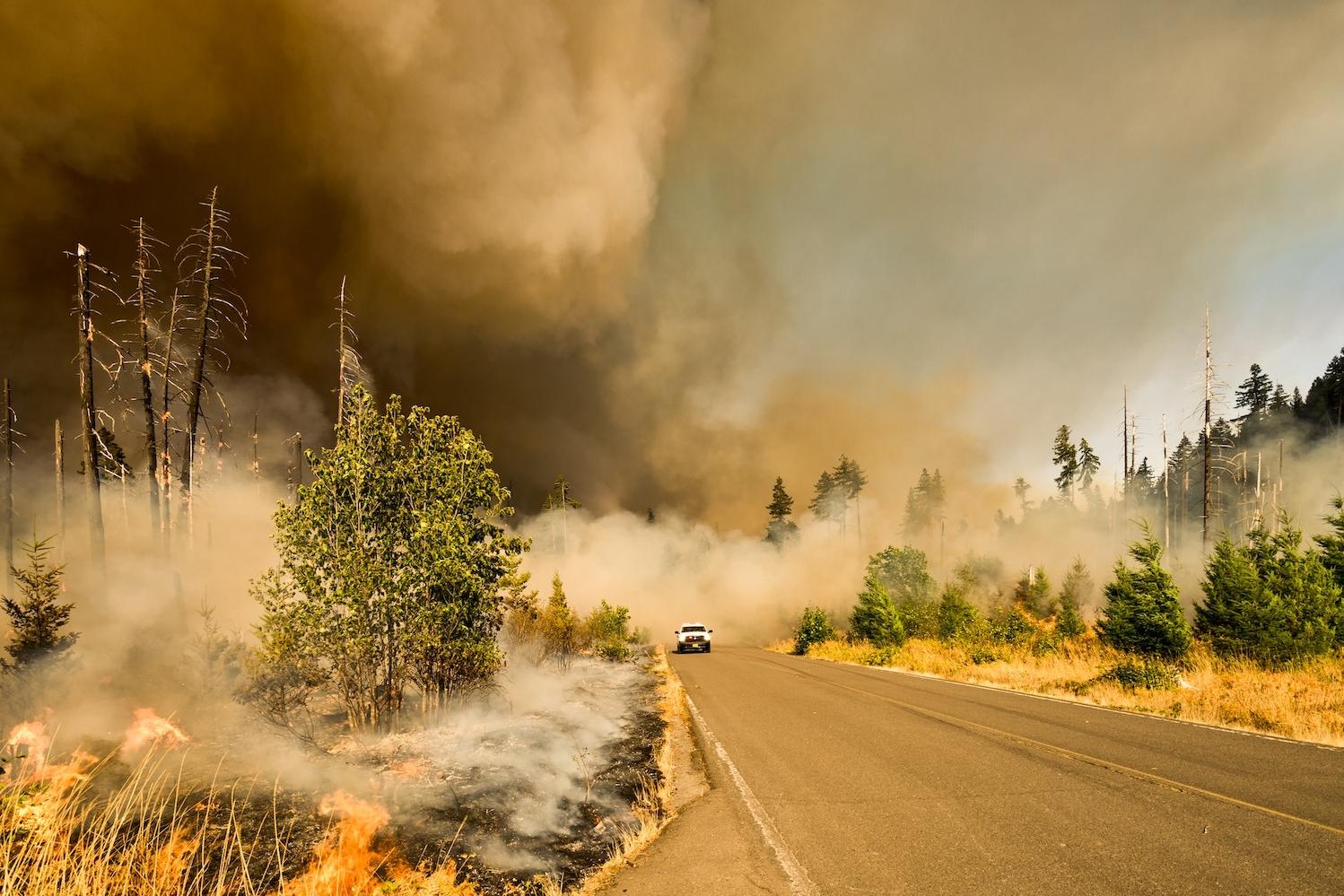 truck driving through wildfires