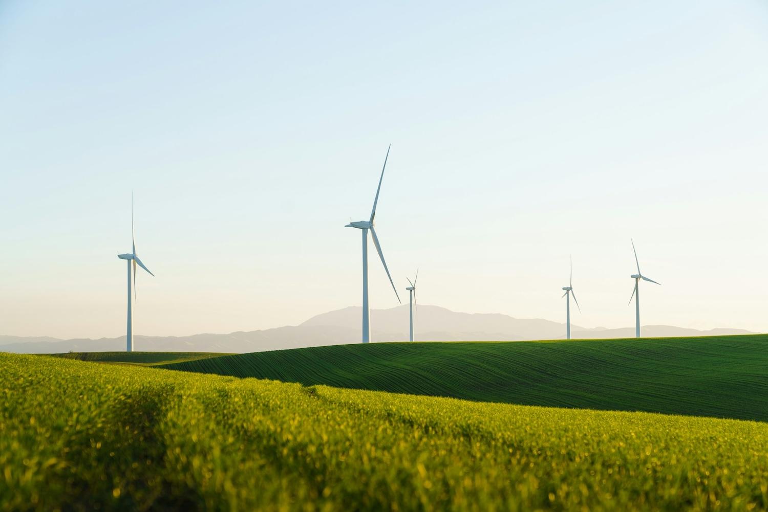 wind farm in the country