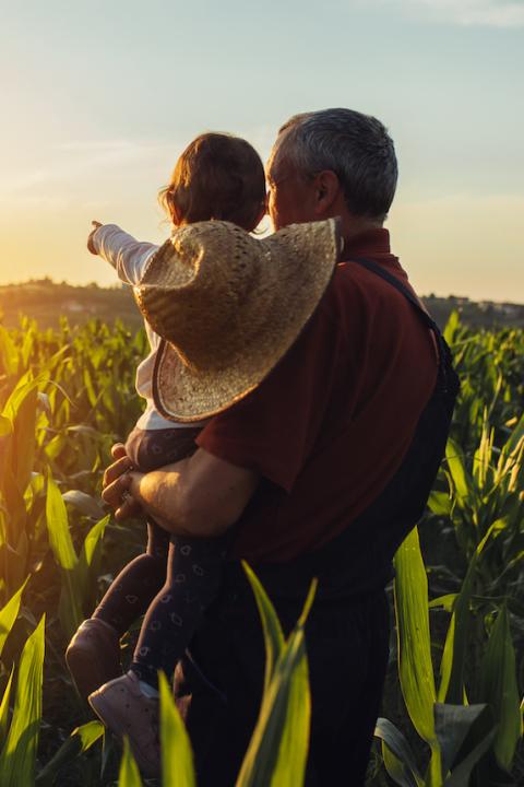 man and child in field at sunset