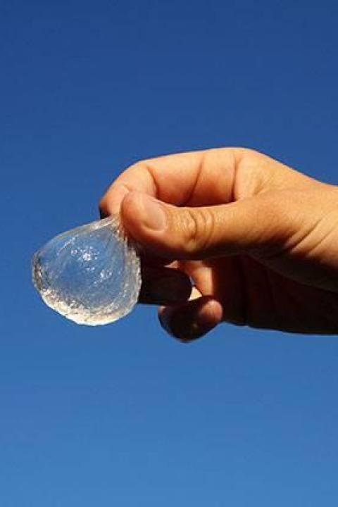 edible water droplet meant as an alternative to plastic water bottles - environmental solutions