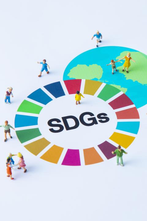 Sustainable Development Goals SDGs