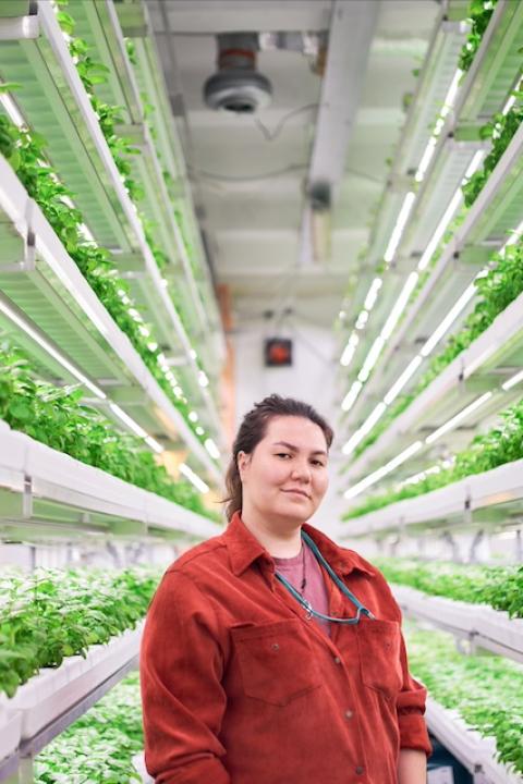 A person stands between rows of an indoor, vertical farm — ESG