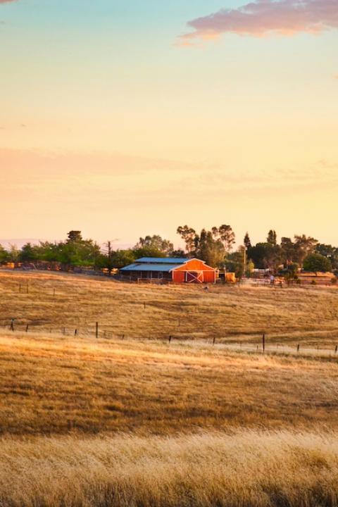 A barn in a farm field — climate change