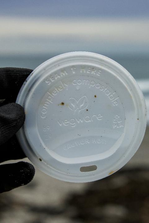 A photo of a compostable coffee cup lid that was found on a beach cleanup  - greenwashing claims