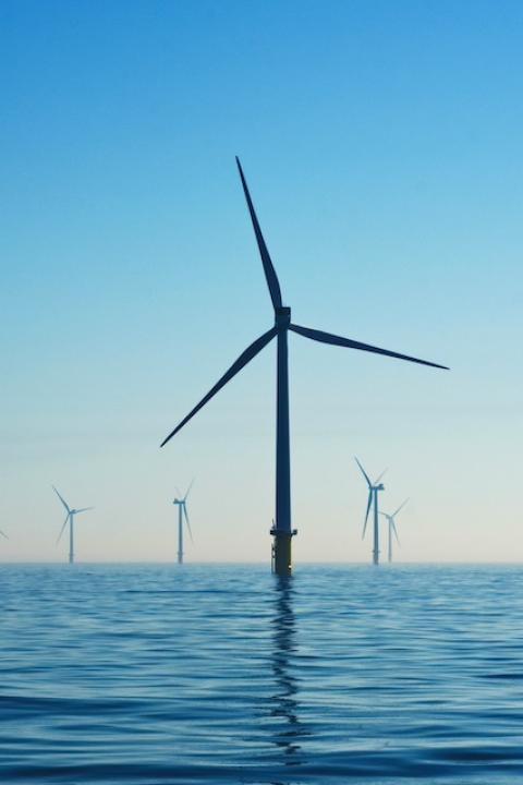 An offshore wind farm. 