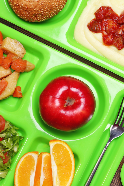 close-up of school lunch trays with food — school systems adopt reuse for serving trays and cutlery