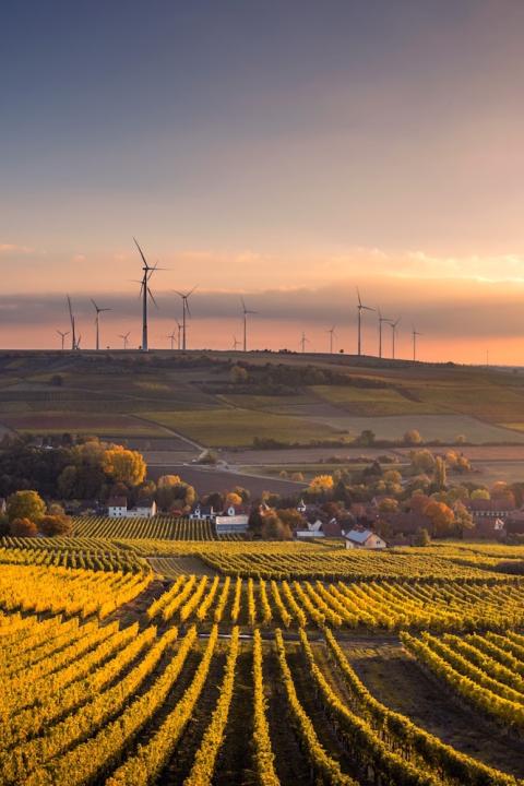 farm with renewable energy