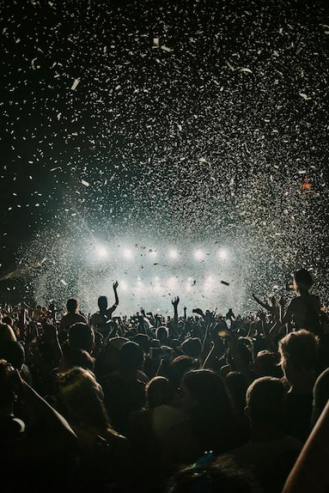 A crowd at a concert — sustainable concerts