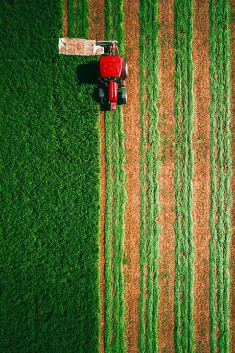 tractor mowing a field