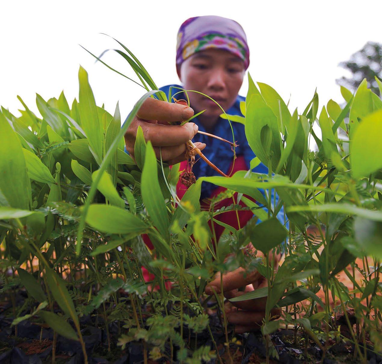 Climate Change Requires New Approaches to Food Security Biology Diagrams