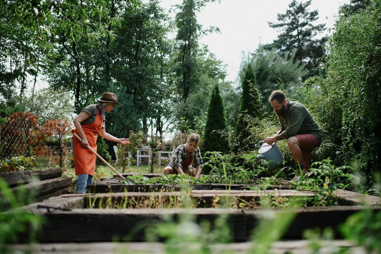 Community Composting Can Be an Economic Powerhouse, Coalition Says