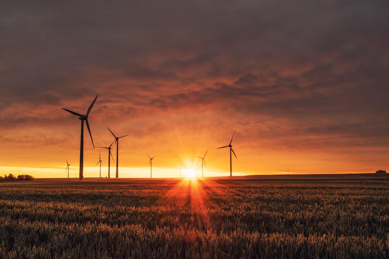wind farm at sunset - taking action on climate change